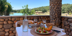 design sans titre   2025 01 23t141454.626